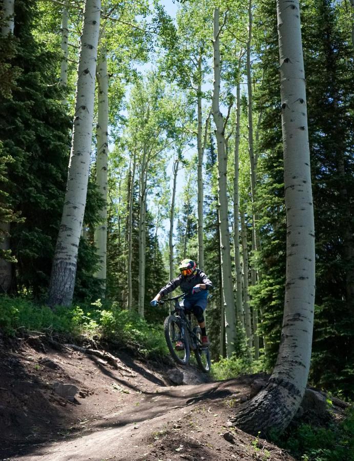 Tiny Homes At Powderhorn Mountain Resort Mesa Exteriör bild